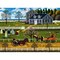 Buffalo Games The Boccie Ladies of Martha's Vineyard Jigsaw Puzzle